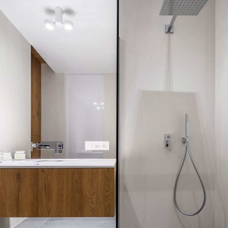 Contemporary Shower with Multi-Function Head